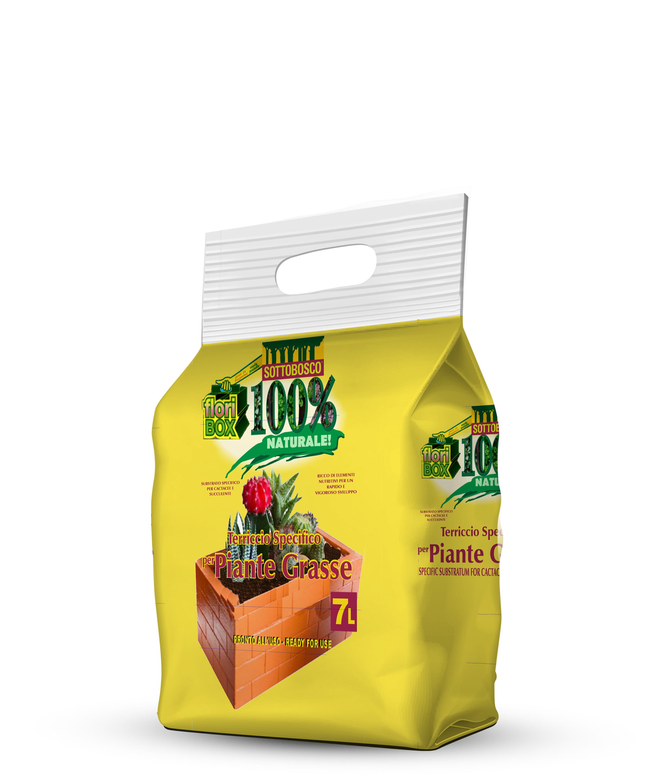 Terriccio specifico Floribox per Piante Grasse