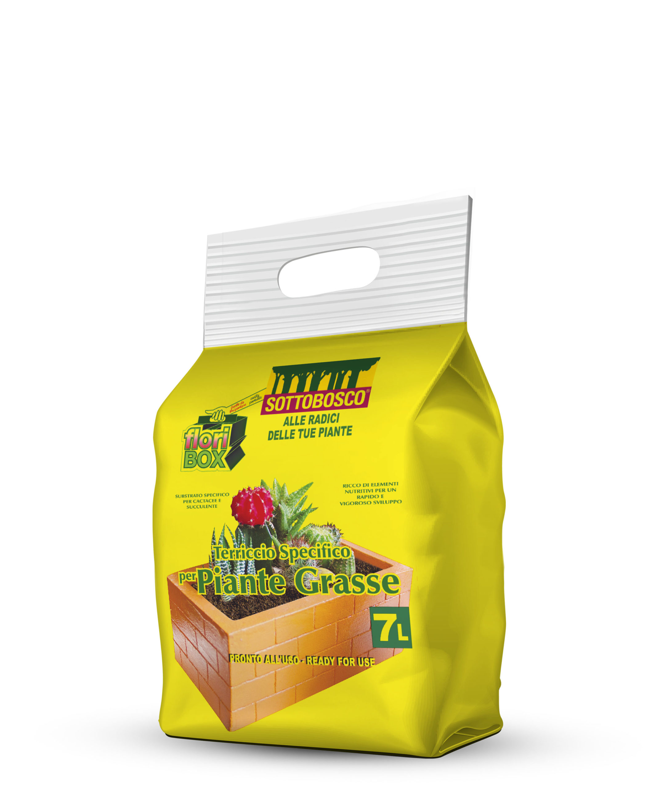 Specific Soil for Succulents