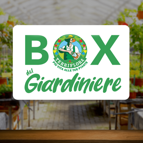 Box del Giardiniere
